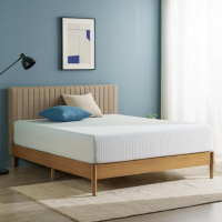 ZINUS 12 Inch Green Tea Cooling Memory Foam 